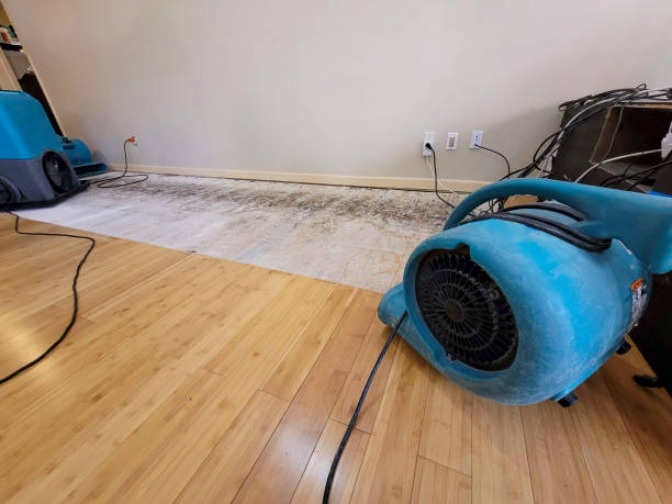 Professional Water Damage Repair technician working in Wakonda, SD